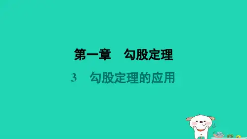 2024八年级数学上册第一章勾股定理3勾股定理的应用习题课件新版北师大版
