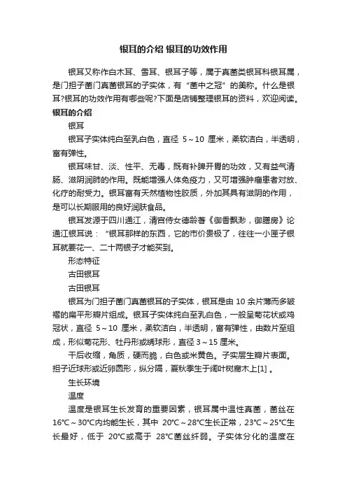 银耳的介绍银耳的功效作用