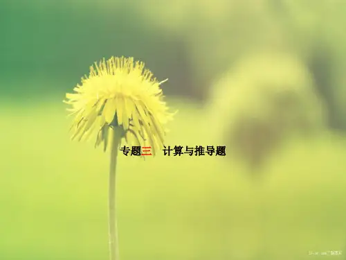 安徽省中考物理专题复习三计算与推导题课件270