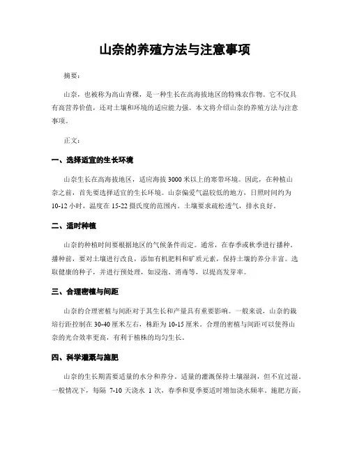 山奈的养殖方法与注意事项