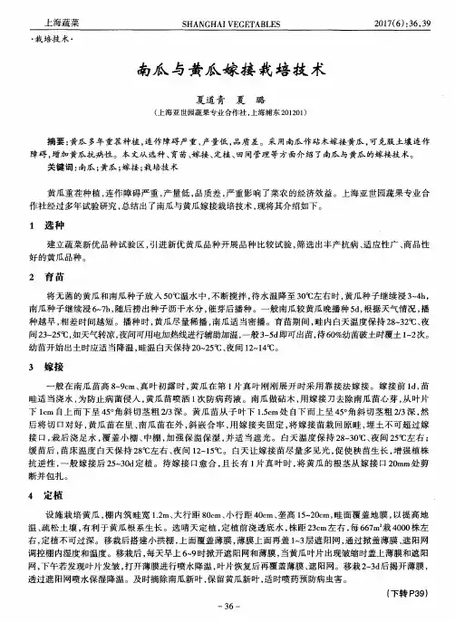 南瓜与黄瓜嫁接栽培技术