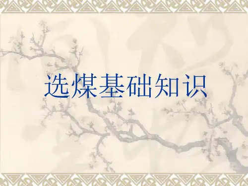 选煤基础知识