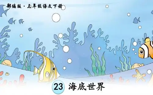 23 海底世界  部编统编人教版  三年级下册 课件PPT