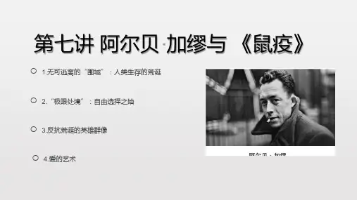 20世纪外国文学选讲PPT (6)[70页]