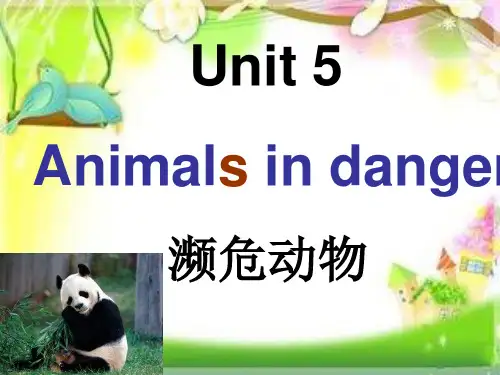 Unit-5-animals-in-danger-总复习