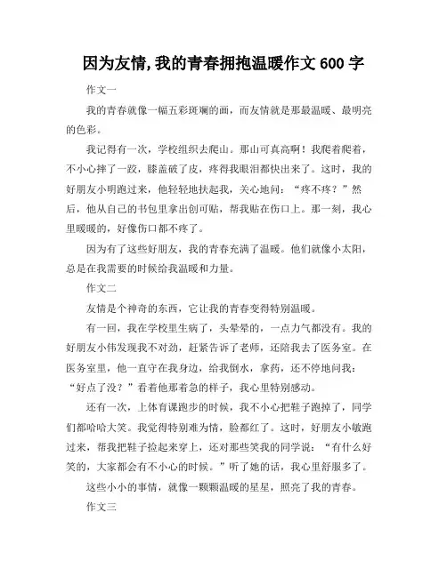 因为友情,我的青春拥抱温暖作文600字