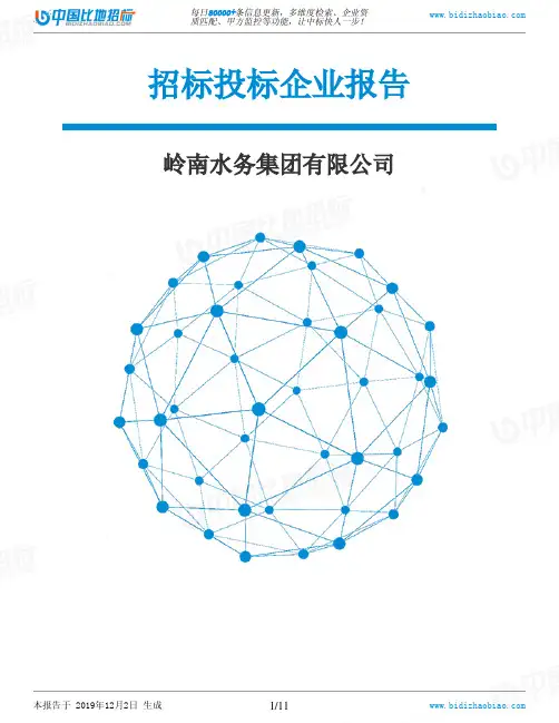岭南水务集团有限公司-招投标数据分析报告