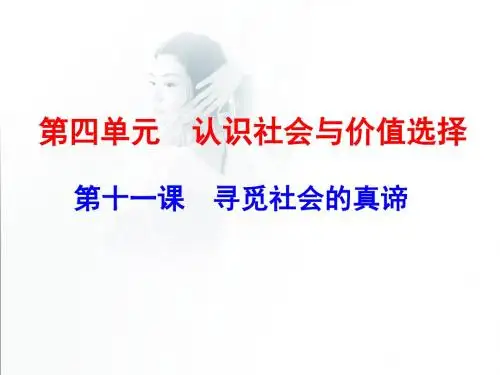 4.11寻觅社会的真谛一轮复习课件