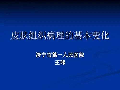 皮肤组织病理的基本变化