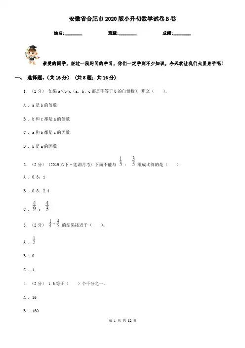 安徽省合肥市2020版小升初数学试卷B卷