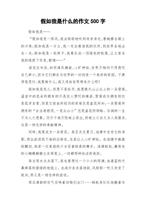 假如我是什么的作文500字_作文