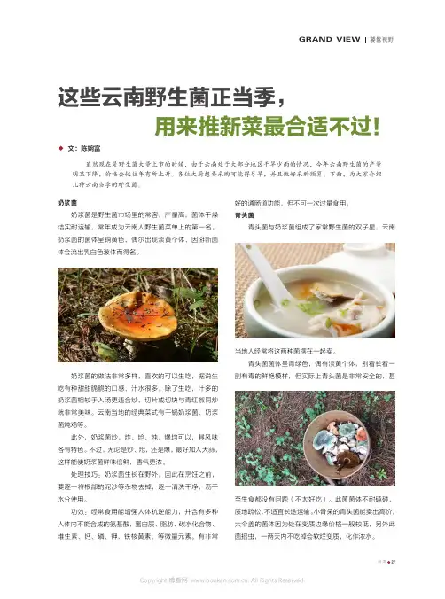 这些云南野生菌正当季，用来推新菜最合适不过！
