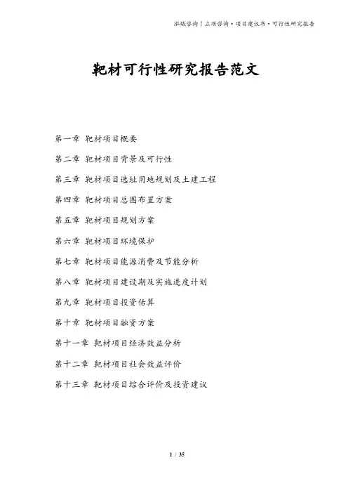 靶材可行性研究报告范文