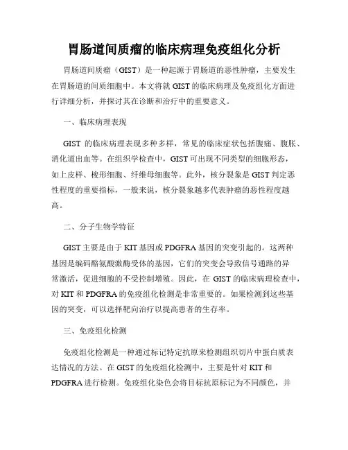 胃肠道间质瘤的临床病理免疫组化分析