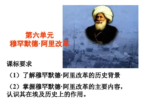 高二历史阿里改革的主要内容