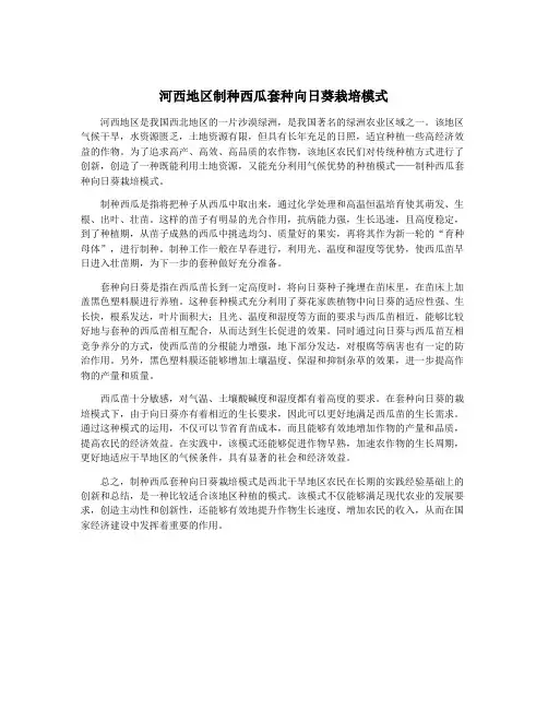 河西地区制种西瓜套种向日葵栽培模式