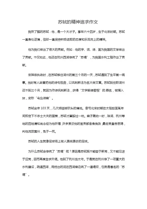 苏轼的精神追求作文