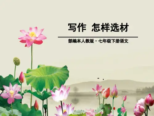 《怎样选材》PPT