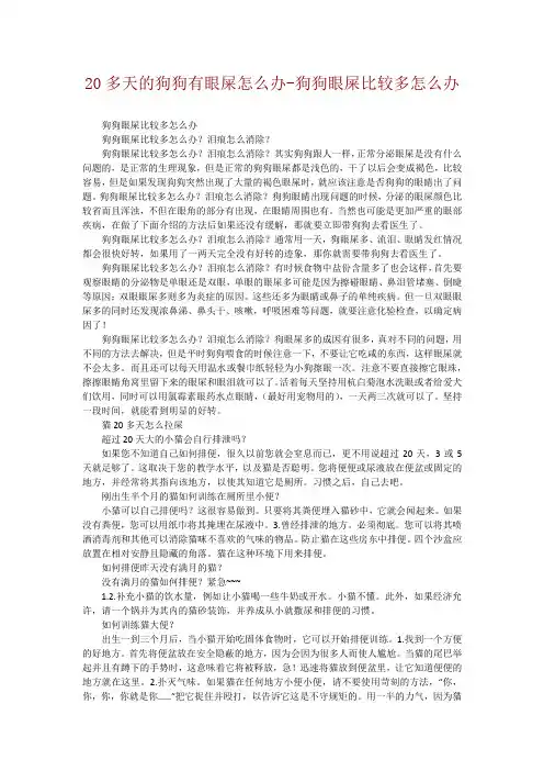 20多天的狗狗有眼屎怎么办-狗狗眼屎比较多怎么办