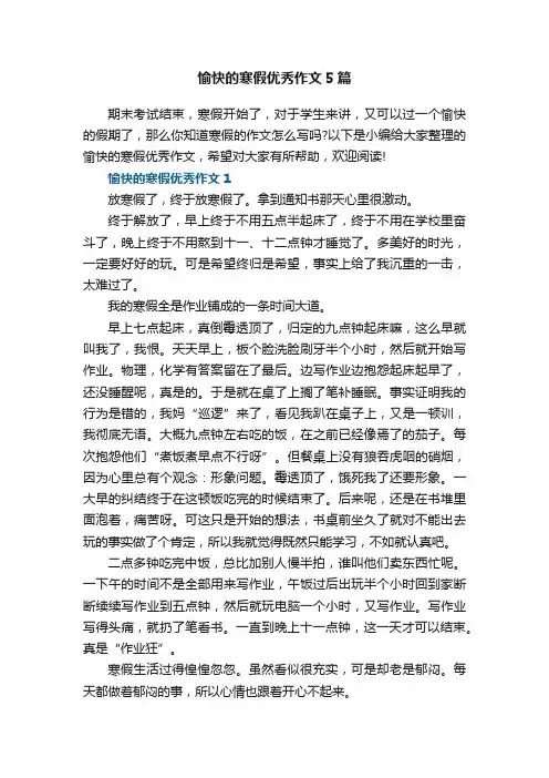愉快的寒假优秀作文5篇