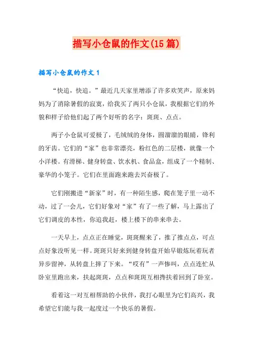 描写小仓鼠的作文(15篇)