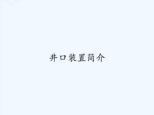 井口装置简介ppt