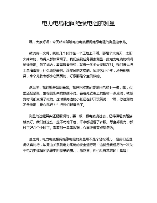 电力电缆相间绝缘电阻的测量