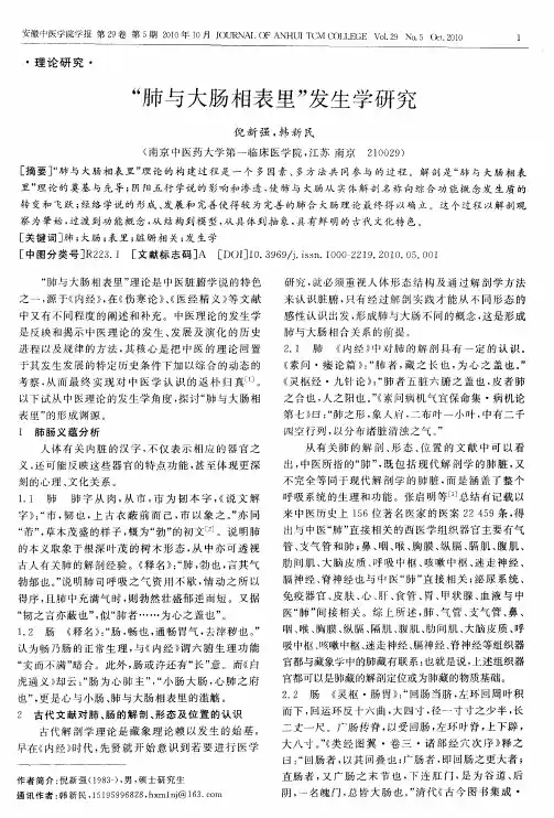 “肺与大肠相表里”发生学研究