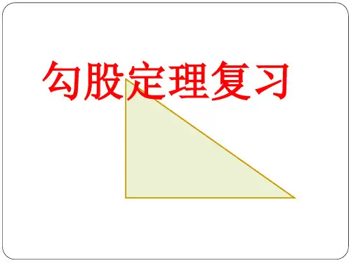 人教版八年级下册第十七章勾股定理复习课 课件