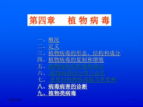 4普通植物病理学- 植物病毒