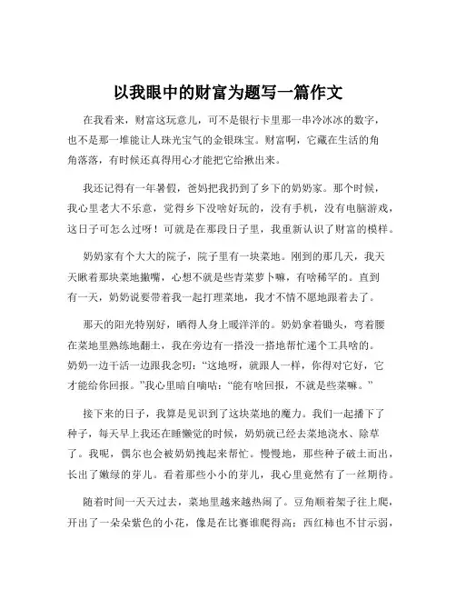 以我眼中的财富为题写一篇作文