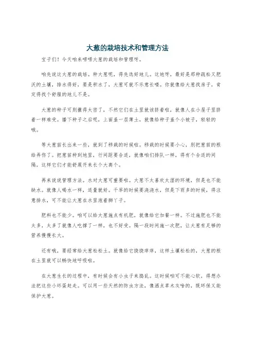 大葱的栽培技术和管理方法