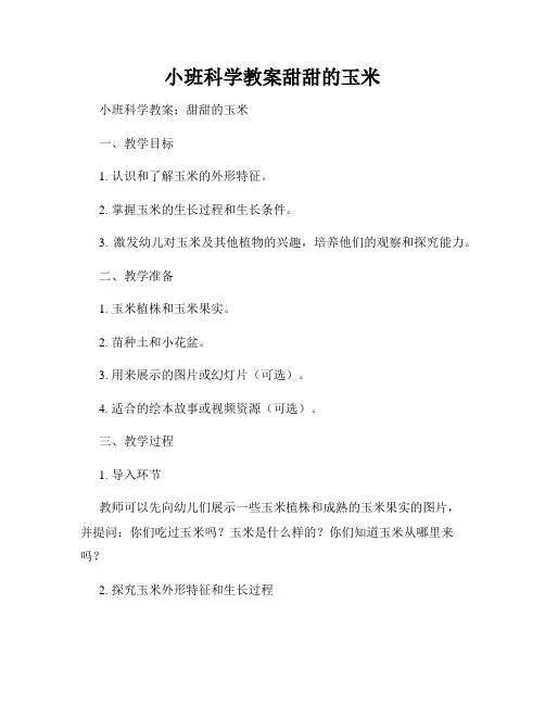 小班科学教案甜甜的玉米