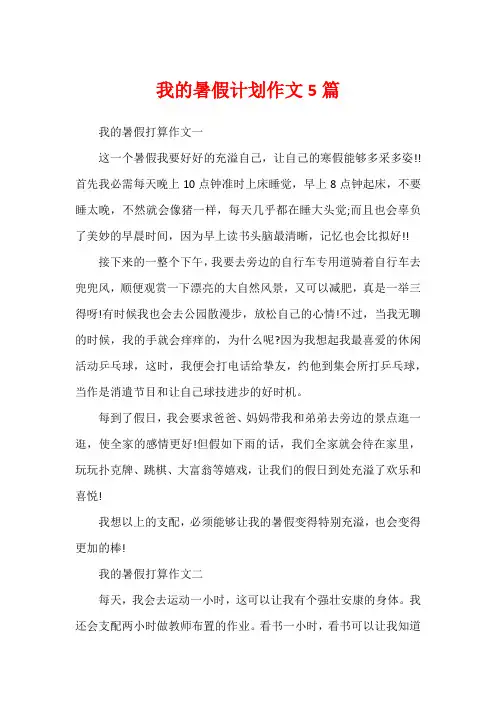 我的暑假计划作文5篇