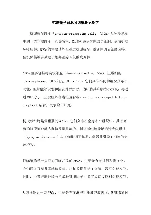 抗原提呈细胞名词解释免疫学