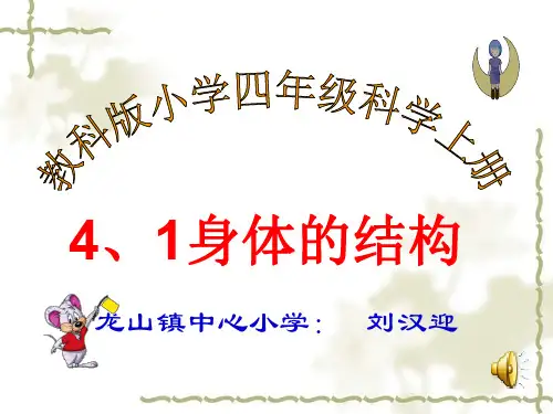 4、1教科版小学科学四年级上册第四单元《身体的结构》PPT课件