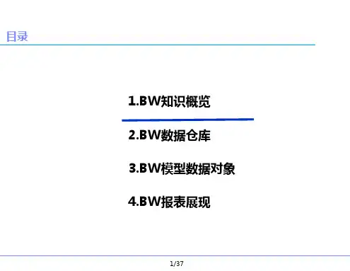 SAP_BW建模思维知识