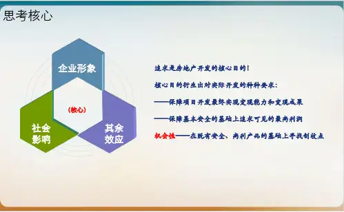 某地块策划定位报告模板ppt