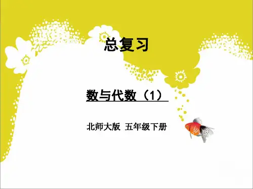 北师大版五年级数学下册总复习——数与代数(2课时)