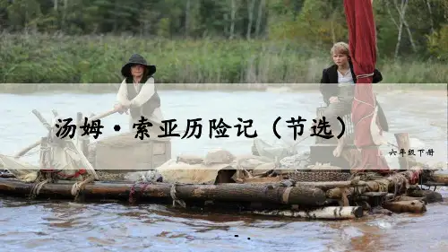 《汤姆索亚历险记》PPT优质课件