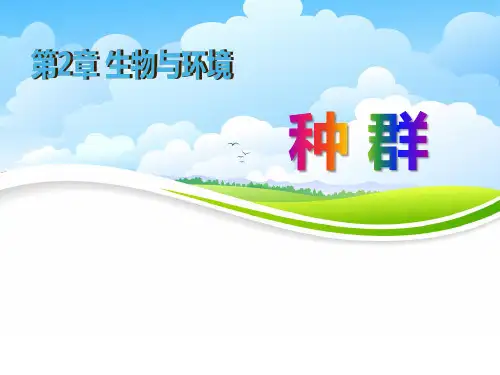 种群-PPT全文课件