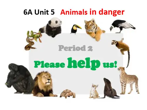 沪教牛津版深圳用英语六年级上册Unit 5 Animals in danger Period 2课件