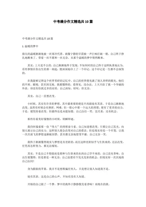 中考满分作文精选共10篇
