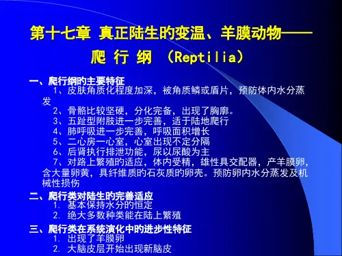 第十六章-爬行刚