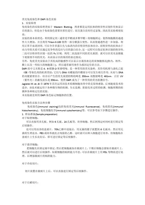 免疫荧光染色