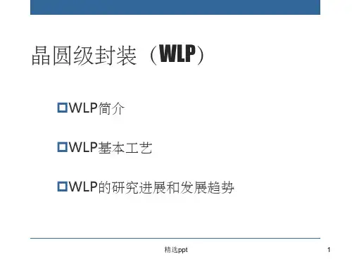晶圆级封装ppt课件