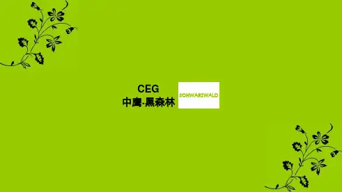 中鹰黑森林个案分析 (NXPowerLite)