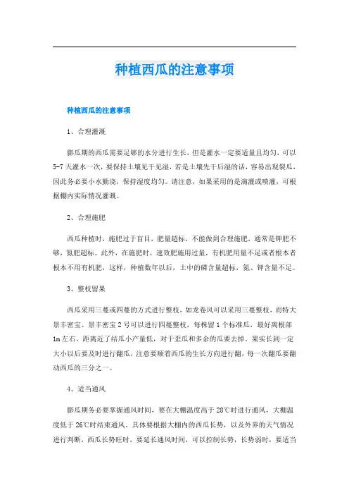 种植西瓜的注意事项