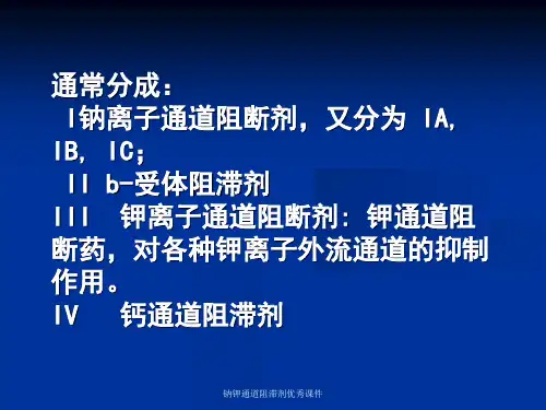 钠钾通道阻滞剂优秀课件.ppt