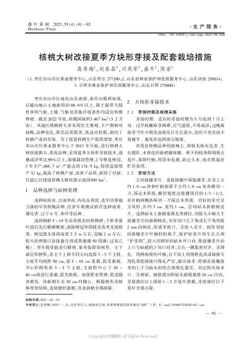 核桃大树改接夏季方块形芽接及配套栽培措施